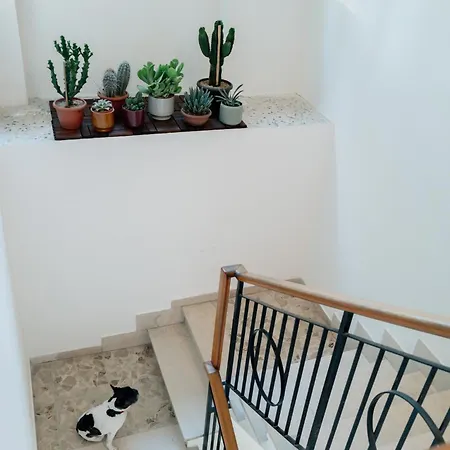 Albereto 41 Apartment *